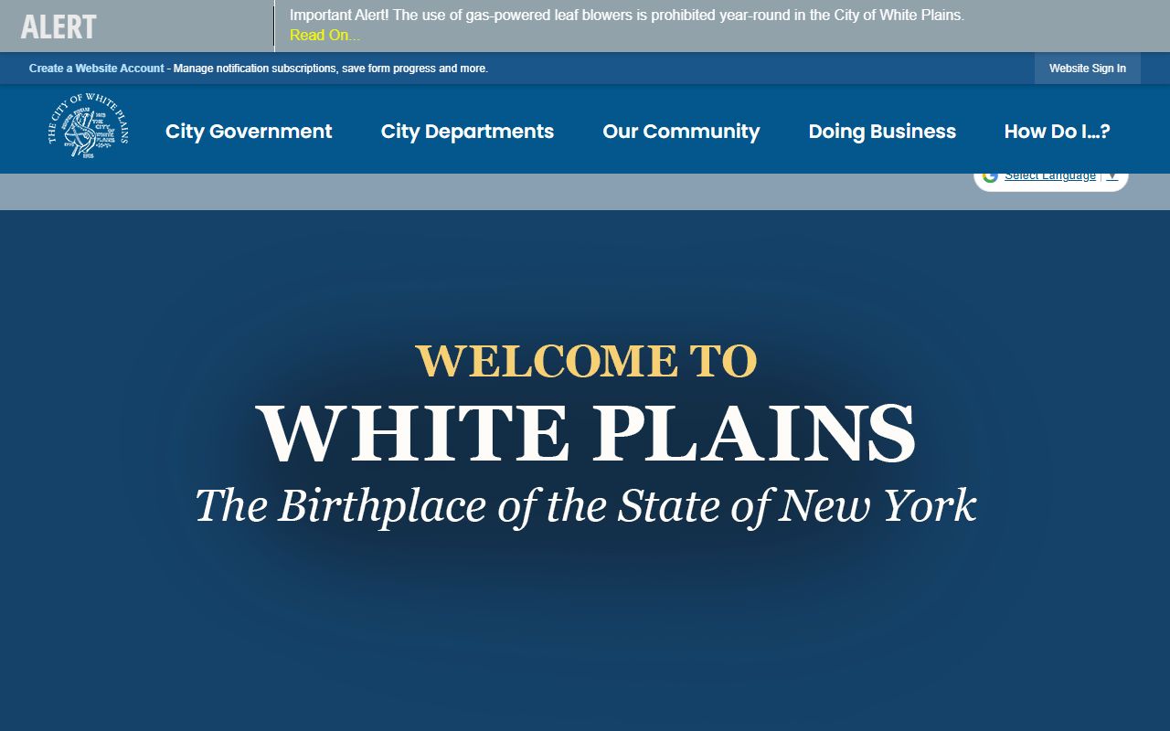 White Plains City Clerk website for court docket records