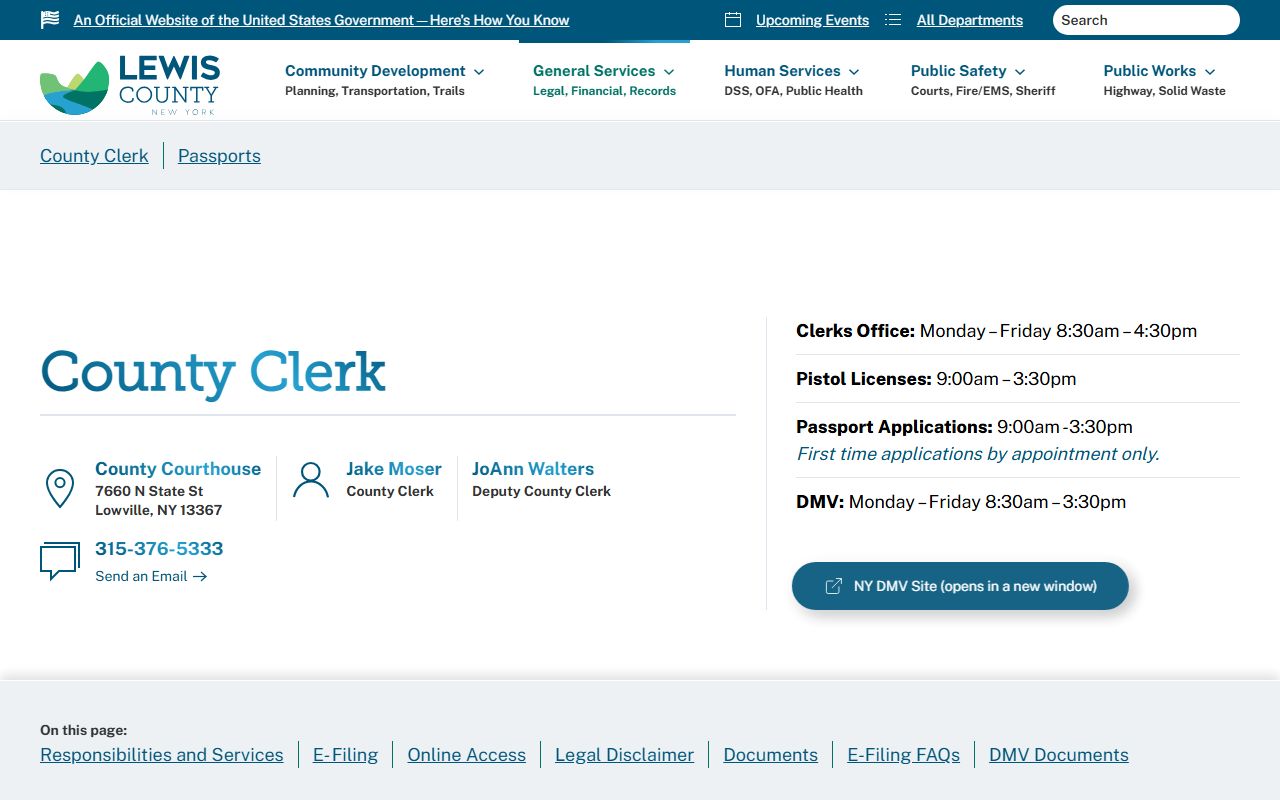 Lewis County Clerk portal for court docket records