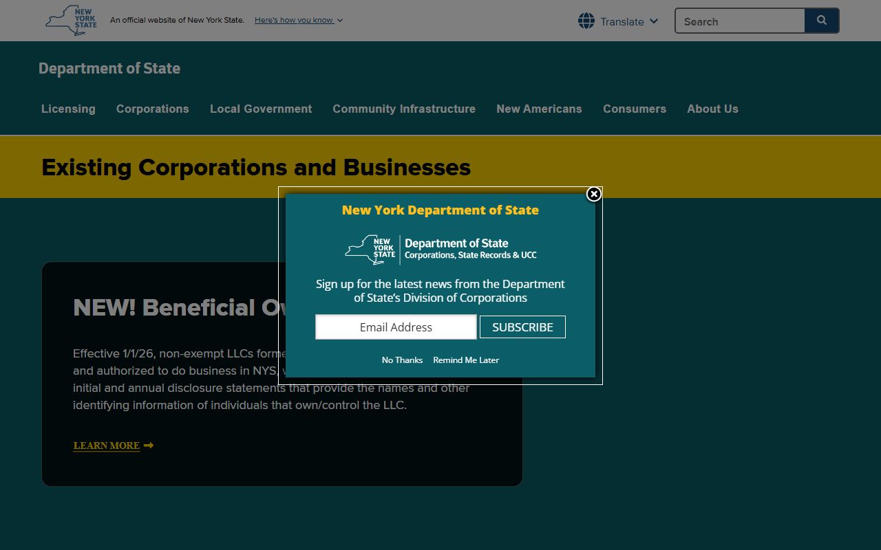 New York Division of Corporations records related to court docket filings